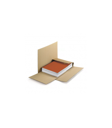 Scatole per libri ed ecommerce avana (31x22x1/6 cm )